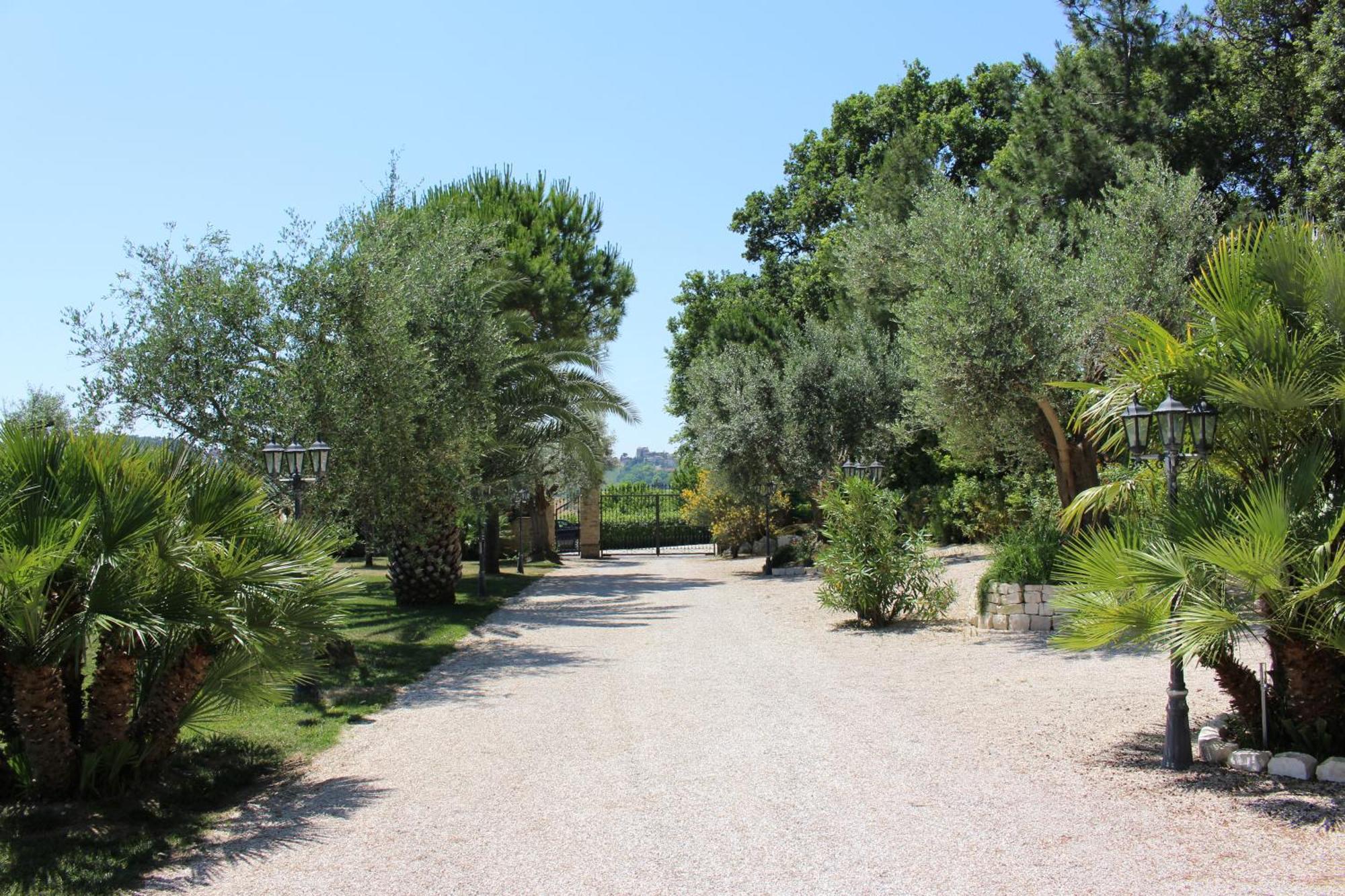 Villa Belvedere Degli Ulivi Osimo Ngoại thất bức ảnh